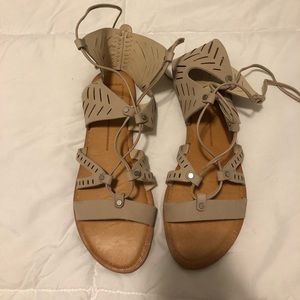 Dolce Vita gladiator sandals